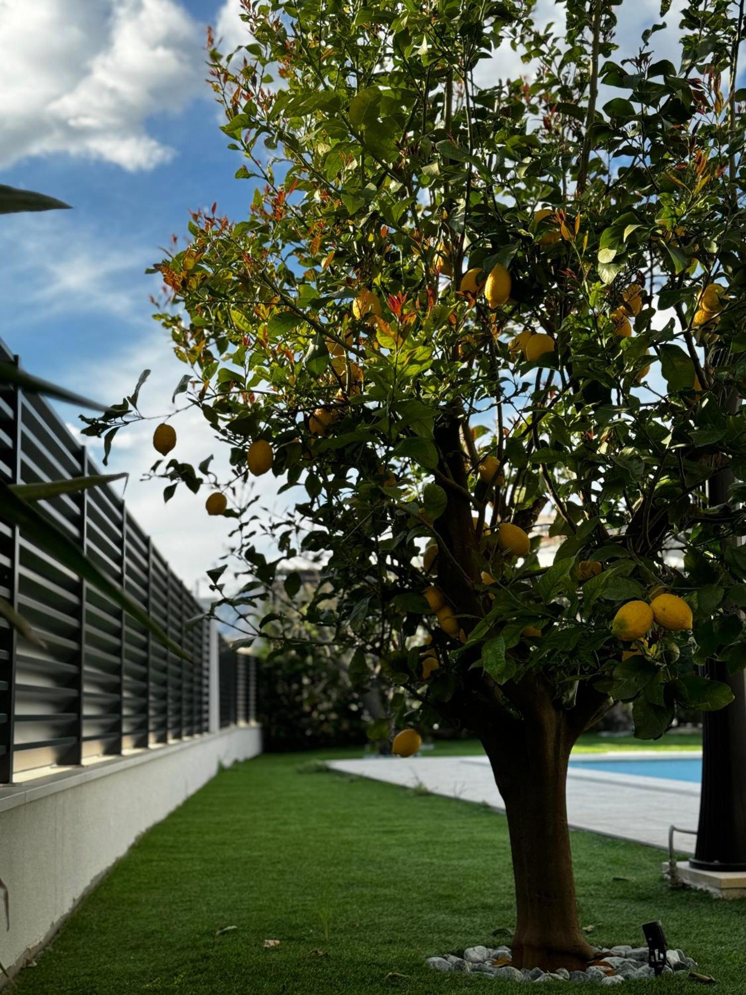 Villa Margita Split Exterior foto